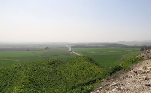 На выходных по утрам небольшие дожди