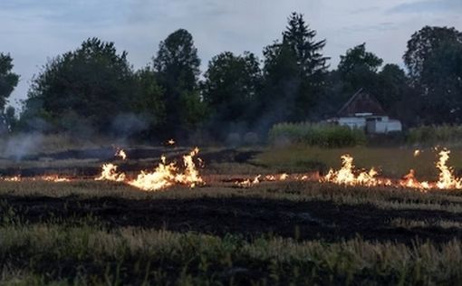 Почему жители Гуш-Дана страдают по ночам от удушливой химической гари | Фото: FREEPIK