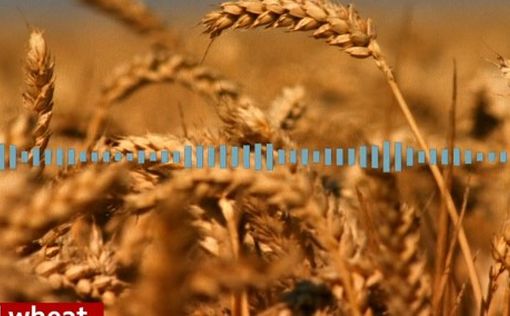 Животные реагируют на секретные звуки растений