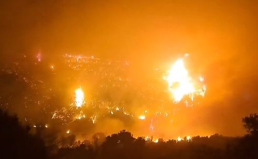 На Крите проходит эвакуация из-за масштабных лесных пожаров