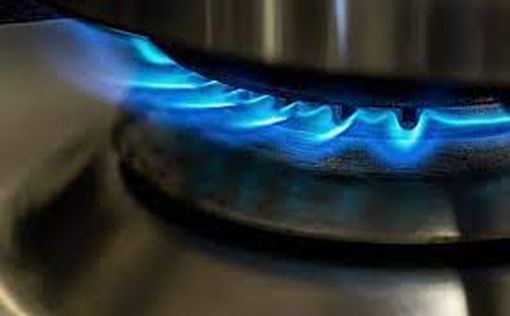 Болгария хочет отказаться от российского газа