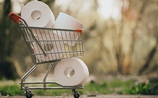 В РФ предложили производить туалетную бумагу из камня