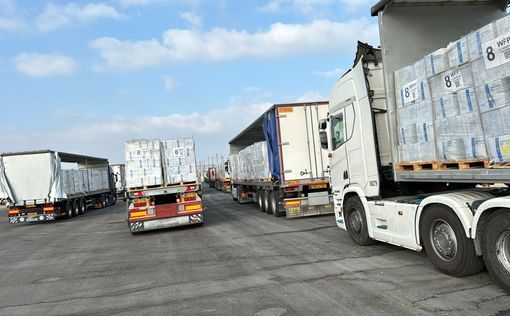 83 грузовика с гуманитарной помощью вчера въехали в Газу