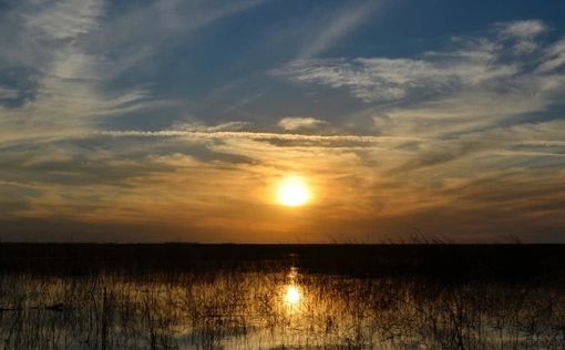 Флорида: крушение самолета унесло жизни пяти человек