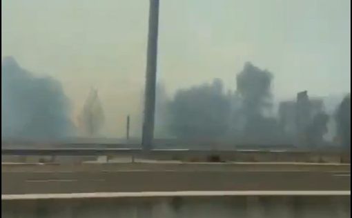Пожар в лесу Модиина был взят под контроль