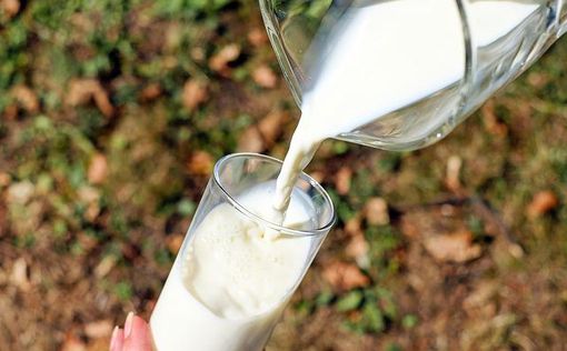 Компания Remilk начнет производить бескоровье молоко в Дании