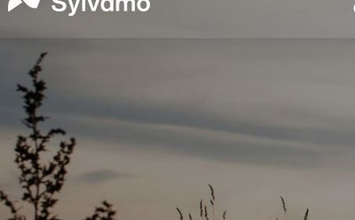 Компания Sylvamo уходит из РФ