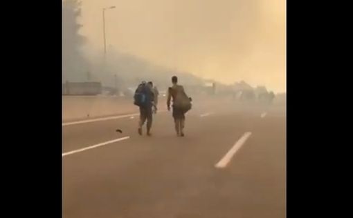 Из-за пожара качество воздуха в Иерусалиме стало одним из худших в мире