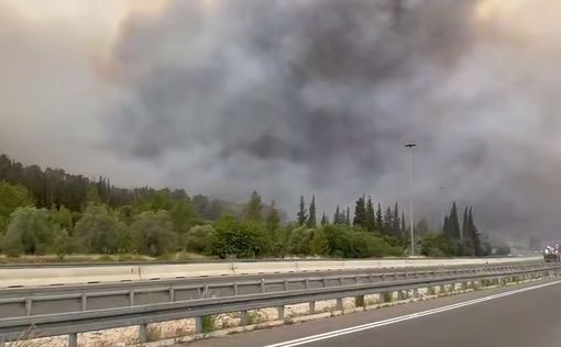 На фоне пожаров арабские каналы в Иудее и Самарии призывают к поджогам