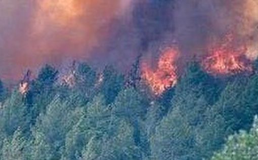 Северный округ Израиля охвачен пожарами