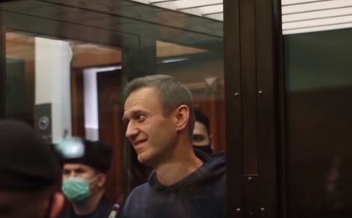 Захарова запуталась в деле Навального