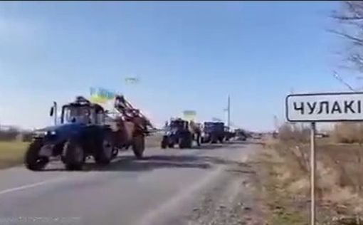 В Украине уже засеяли половину запланированных площадей