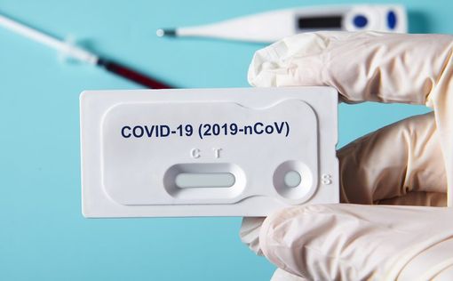 В Японии научились быстро различать штаммы COVID-19