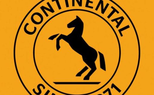 Немецкий производитель шин Continental закрывает бизнес в России