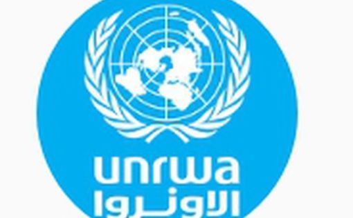 UNRWA замораживает работу в лагере беженцев в Ливане из-за боевиков