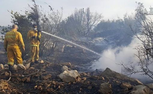 Пожары: первые частичные выводы