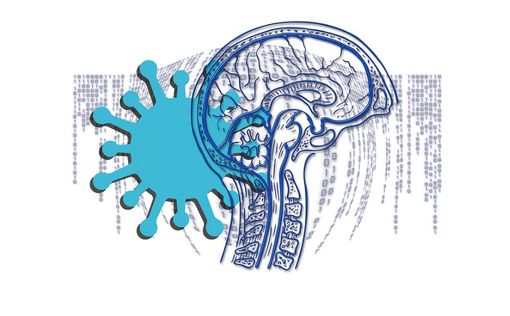 Ученые рассказали о влиянии коронавируса на мозг