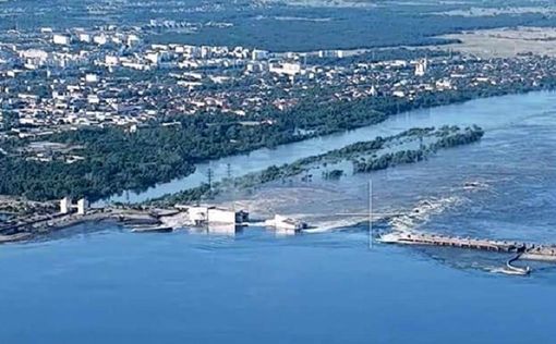 Каховское водохранилище заросло сорняком