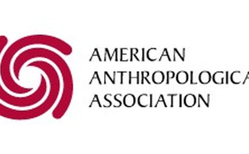 American Anthropological Association