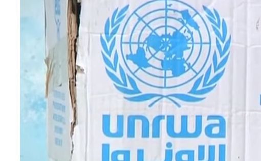 UNRWA опроверг сообщения о прекращении деятельности после израильского запрета