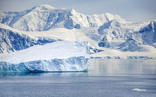 Вблизи Антарктиды ученые обнаружили новый вид морских существ