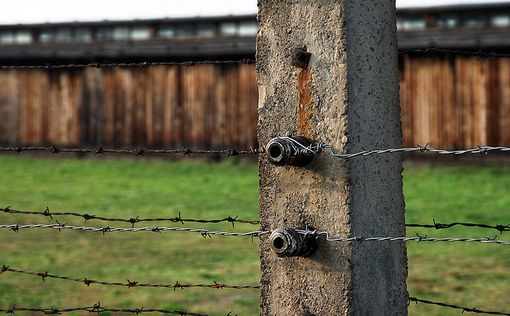 В Австрии на сайте бывшего концлагеря разместили порнографию