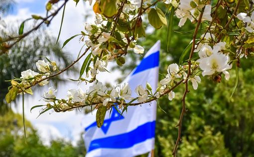 Накануне Дня независимости население Израиля превысило 9,7 млн ​​человек