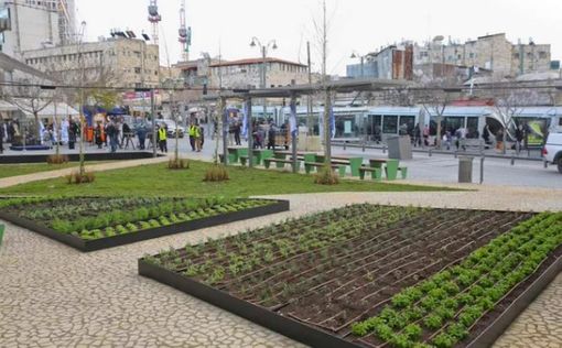 В Иерусалиме открылась ярмарка "Четыре вида" с украшениями для сукки