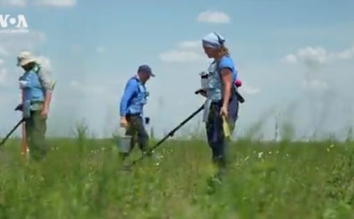 Как бесстрашные саперы расчищают заминированную Украину. Видео | Фото: скриншот