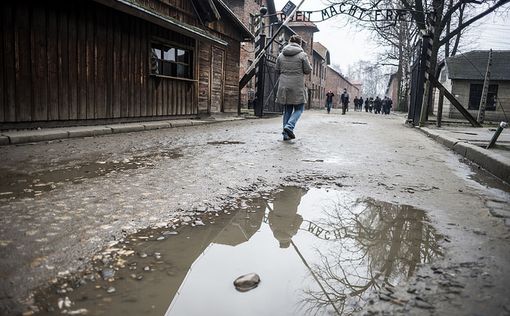 Реакция Сионистского лагеря на закон в Польше