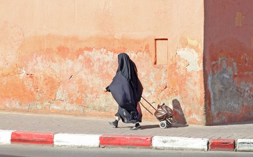 В Австрии ввели штрафы за паранджу