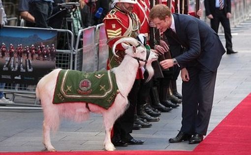 Принц Гарри пообщался с козлом