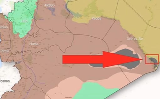 Коалиция США разгромила мечеть-базу ИГ